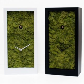 Orologio a Cucù Amazon 2490 Progetti