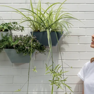 Unconventional Gardening